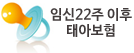 임신22주이후태아보험
