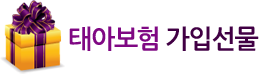 태아보험가입선물